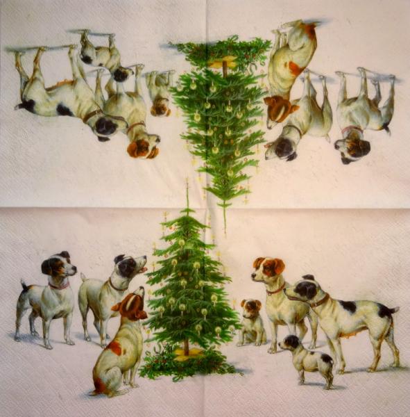 329 Dogs - 3-ply - Specials